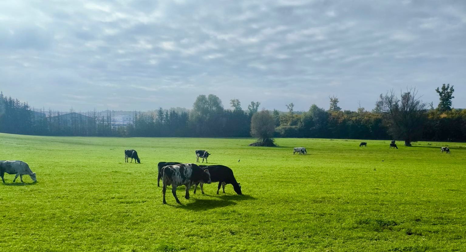 Vie à la ferme Rico Bio